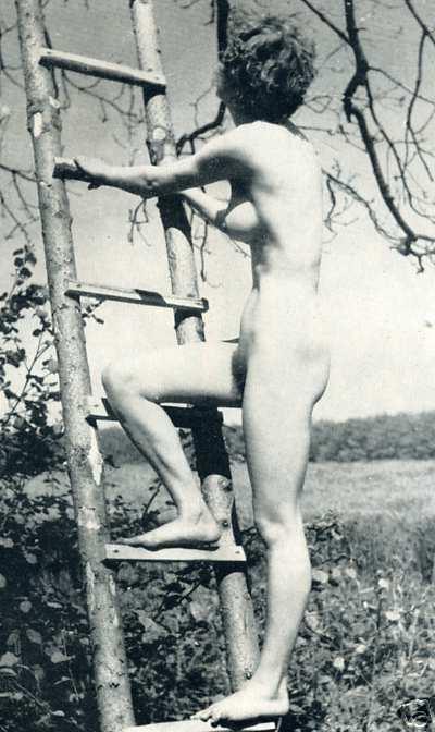 Vintage nudist  Retro vintage beautiful bare girls's pubis,.. Figure 7
