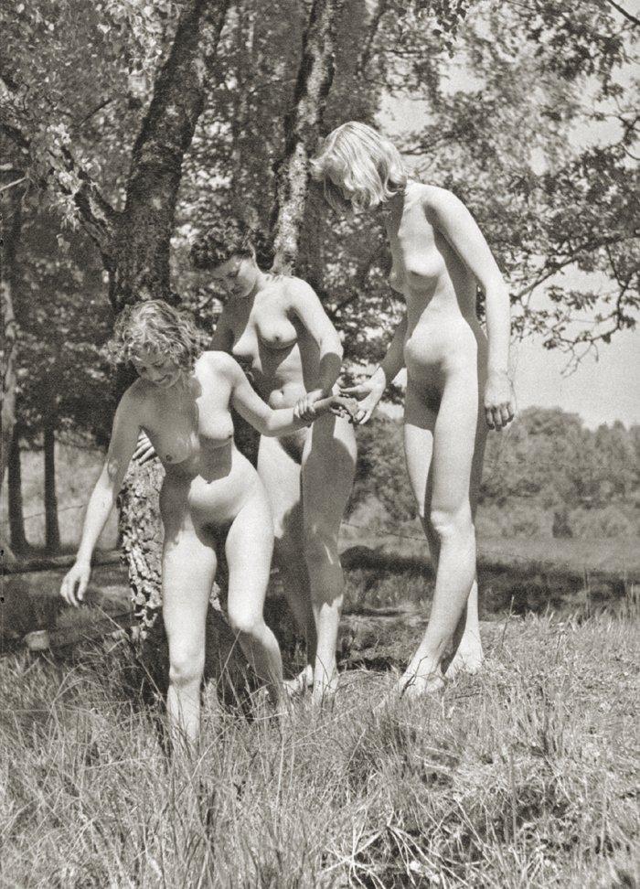 Vintage nudist  Vintage retro sexy nudist wives's pubis, legs,.. Image 3