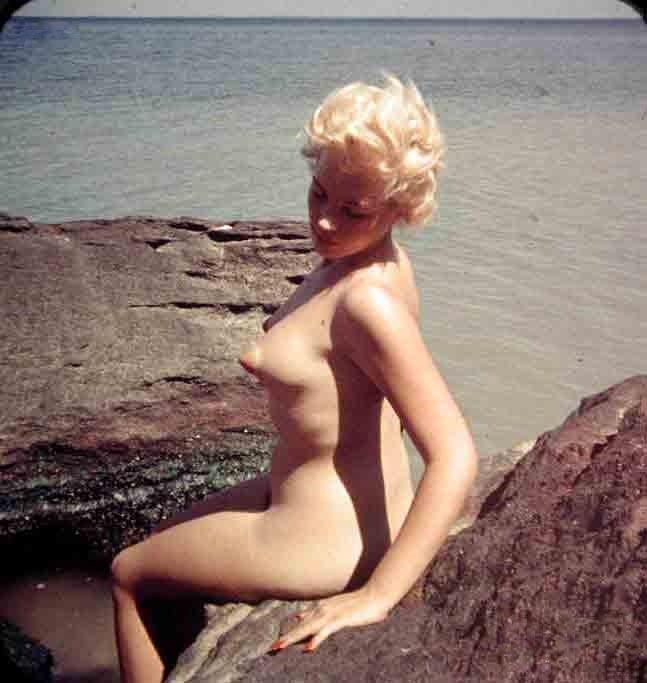 Vintage nudist  Retro charming naturist ladies's legs, tities,.. Entry 9