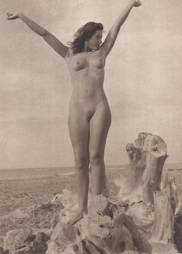 Vintage nudist  Retro beautiful ladies's pussy, body, legs,.. Image 3