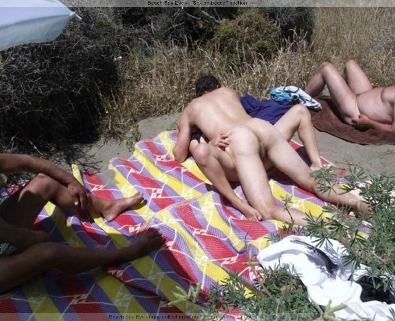Nude Beaches Pics Nude out of reach of beaches - relaxed nudists.. Picture 2