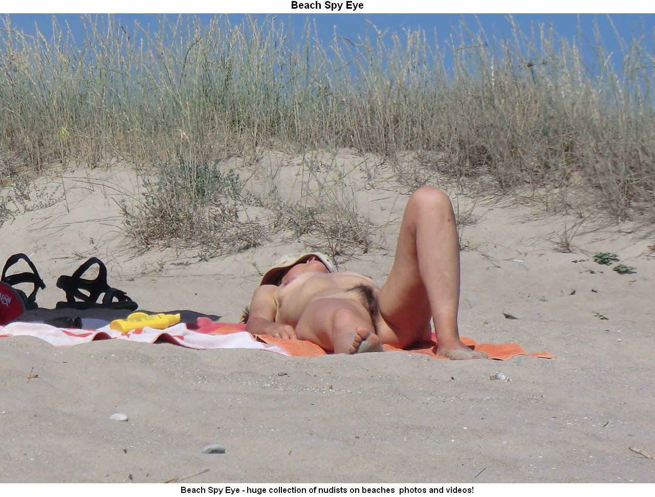 Nude Beaches Pics Nudist beach photos - obscene women nudists.. Image 3