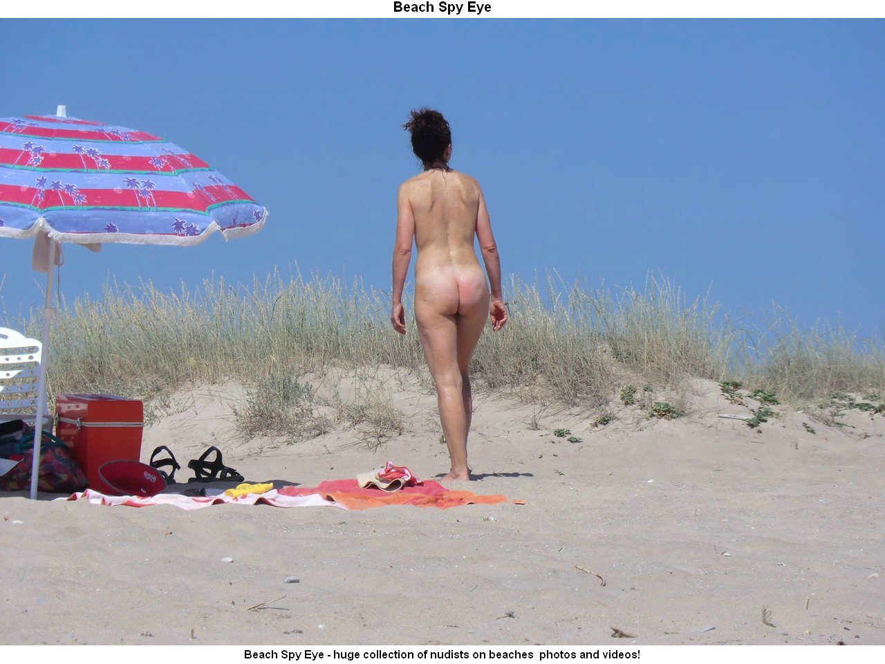 Nude Beaches Pics Nudist beach photos - obscene women nudists.. photography 5
